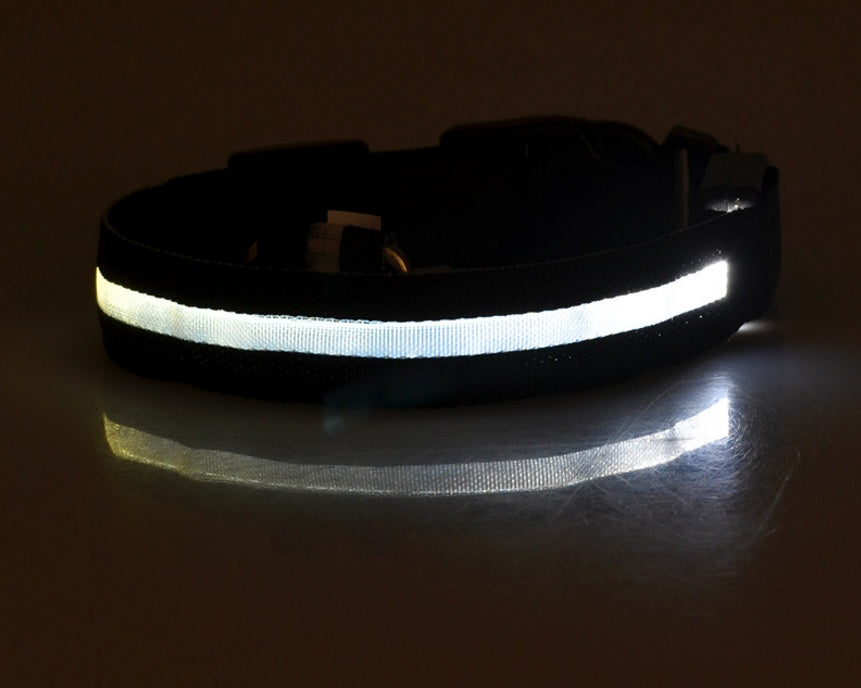 طوق نايلون مضيء للكلاب الأليفة مزود بمصباح LED وامض للسلامة الليلية ومقود قابل للتعديل للكلاب والقطط ومستلزمات الحيوانات الأليفة
