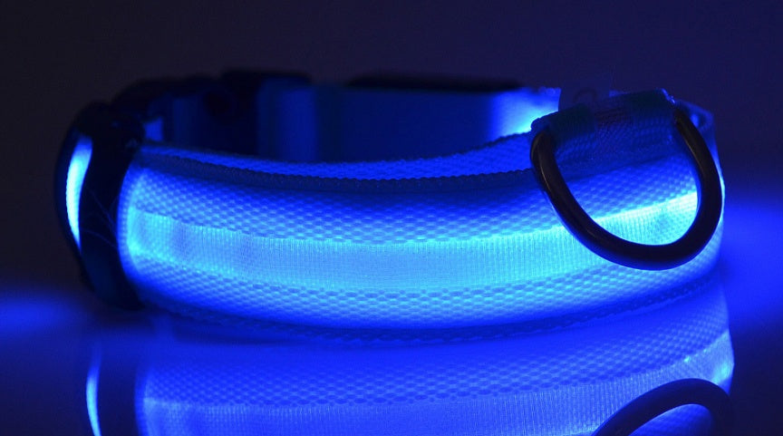 طوق نايلون مضيء للكلاب الأليفة مزود بمصباح LED وامض للسلامة الليلية ومقود قابل للتعديل للكلاب والقطط ومستلزمات الحيوانات الأليفة