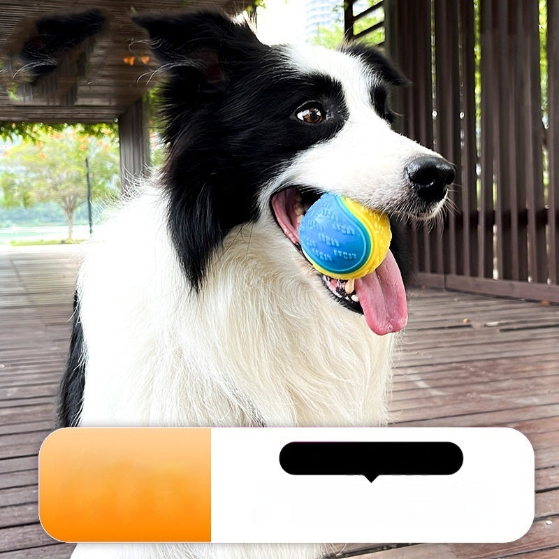 كرة تدريب طويلة الأمد على شكل ضرس للكلاب من Pet Toy