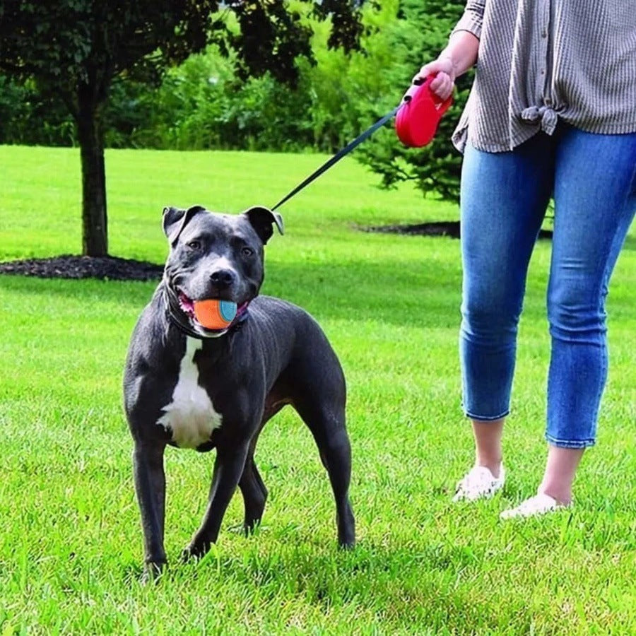 كرة تدريب طويلة الأمد على شكل ضرس للكلاب من Pet Toy