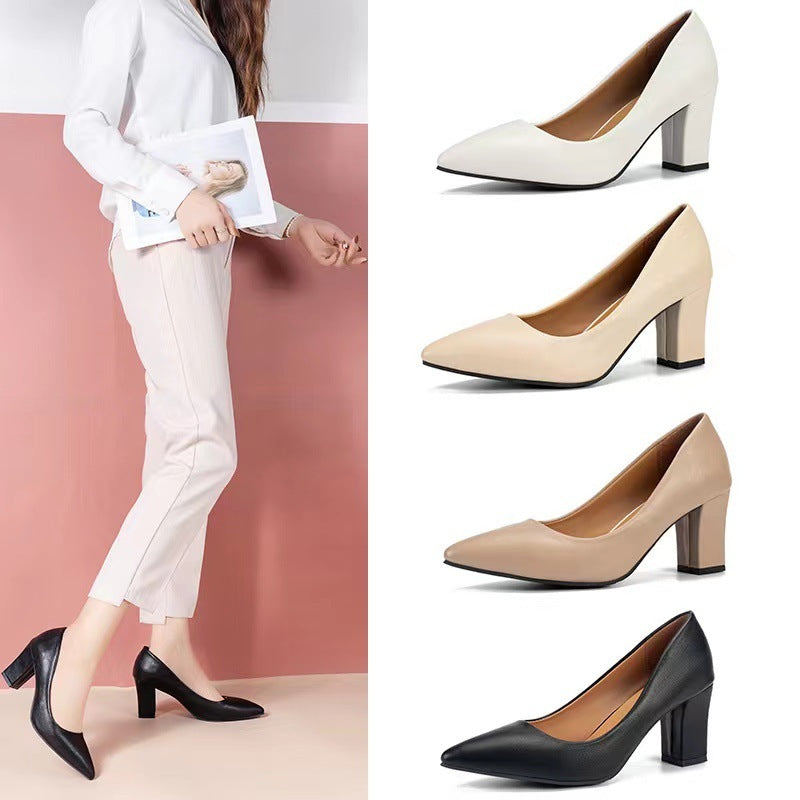 Fashion Women's Chunky Heel Pointed Work Shoes