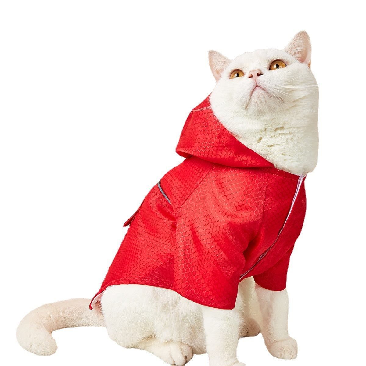 Night Reflective Stripe Cat Puppy Raincoat