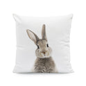 Easter Cartoon Rabbit Print Pillow Cover