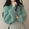 Women's Fashion Knitwear Sweater Short Coat