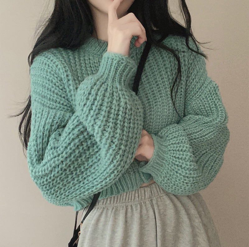 Women's Fashion Knitwear Sweater Short Coat