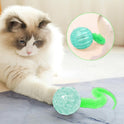 Interactive Cat Ball Toy Interactive Worm Bouncy Balls Cat Toy Safe Indoor Cats Toy Balls For Indoor Cats Kitten