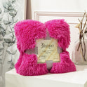 Thickened Autumn And Winter Blanket Double-sided Velvet Gift Blanket