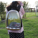 Transparent Backpack Pet Backpack