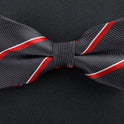 Double bow tie