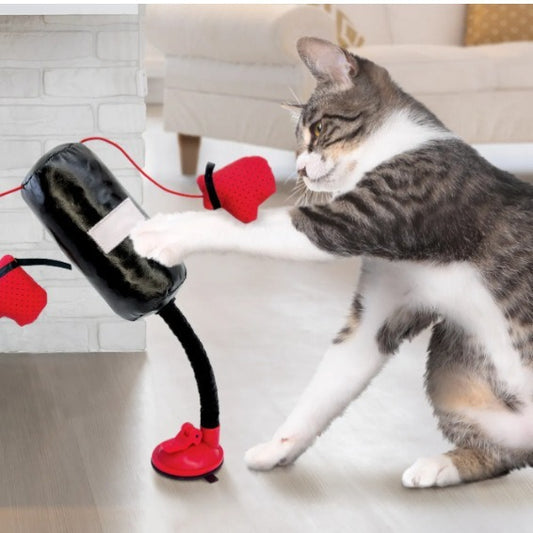 New Multi-functional Cat Teasing And Boxing Toy