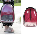 Transparent Backpack Pet Backpack