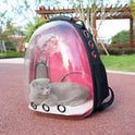 Transparent Backpack Pet Backpack