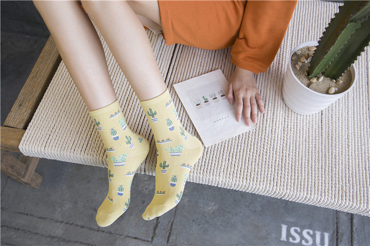 Cactus cotton tube stockings