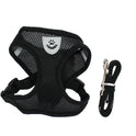 Pet chest strap