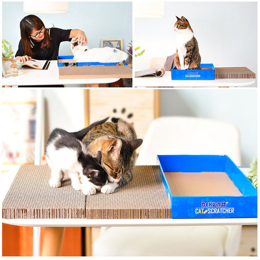 Cat scratcher boxed