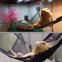 Reptile Hammock Lizard Snake Pet Hammock