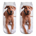 New Dog Series 3D Printed Socks Puppy Printed Socks Ebay AliExpress Hot-selling Printed Female Socks