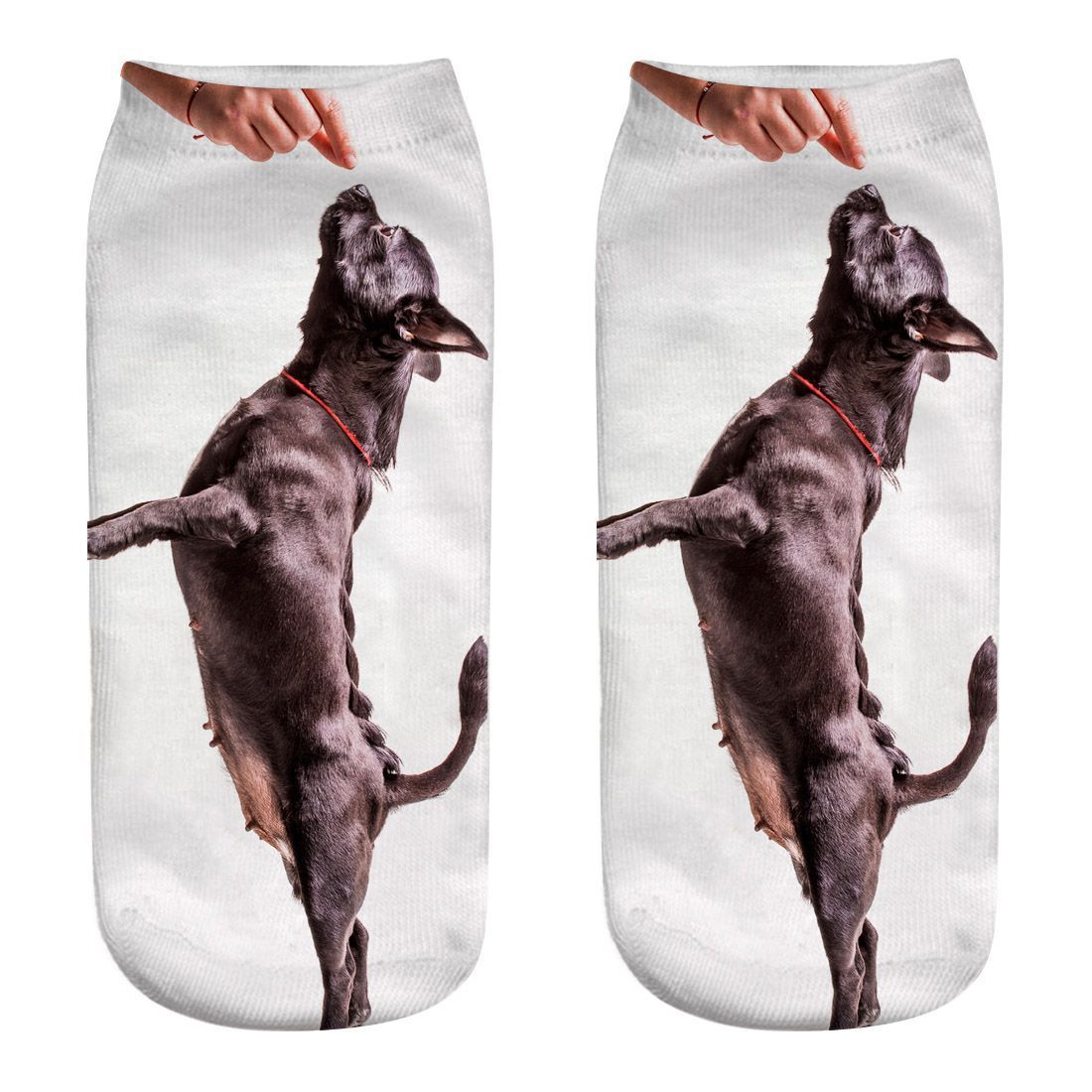 New Dog Series 3D Printed Socks Puppy Printed Socks Ebay AliExpress Hot-selling Printed Female Socks