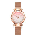 Fashion Watch Starry Sky Dial Watch Classic Ladies Magnet Buckle Quartz Watch Drop Shipping