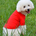 Thin breathable dog vest