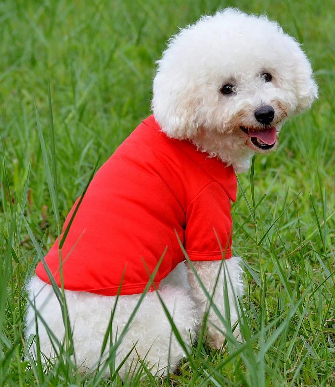 Thin breathable dog vest