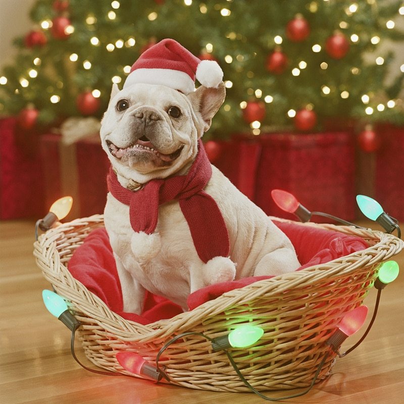 High-end Plush Holiday Decoration Pet Hat