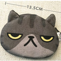 The cat is coming. The comet man purse. The cat storage bag.