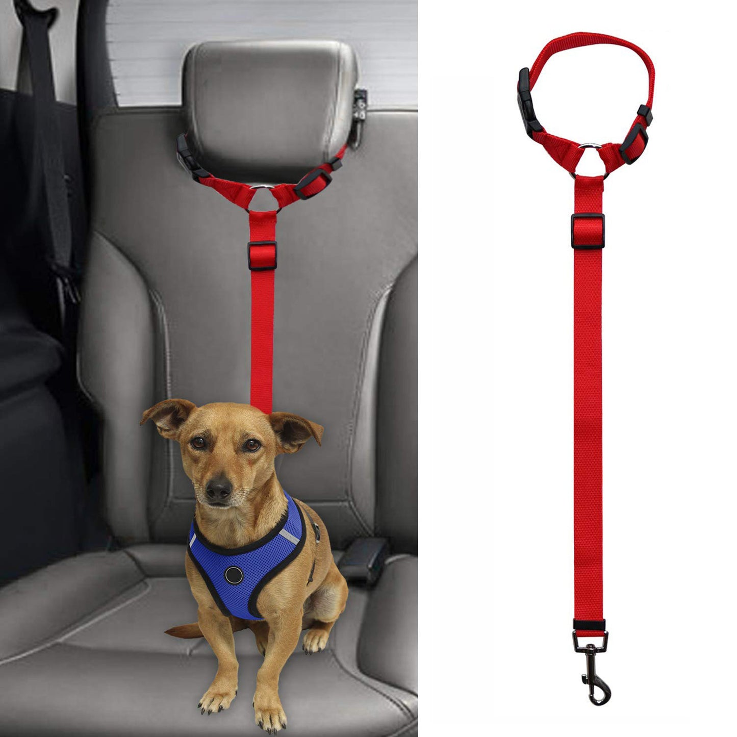 Pet safety leash