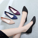 Women's pointed toe flat shoes