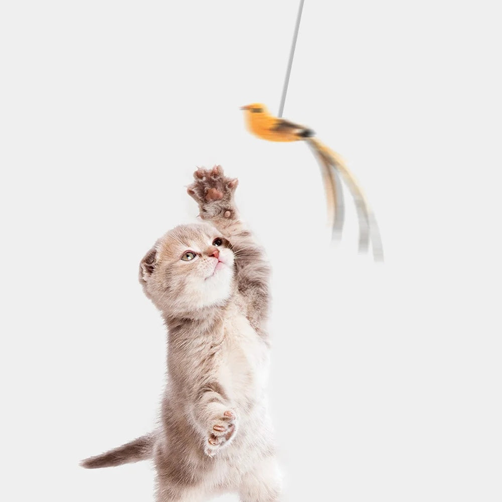 Automatic Lifting Motion Cat Toy Artificial Bird Interactive Puzzle Pet Cat Teaser Feather Chewing Lifting Toys Cat Supplies