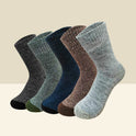 Socks Men's Winter Fleece-lined Thickened