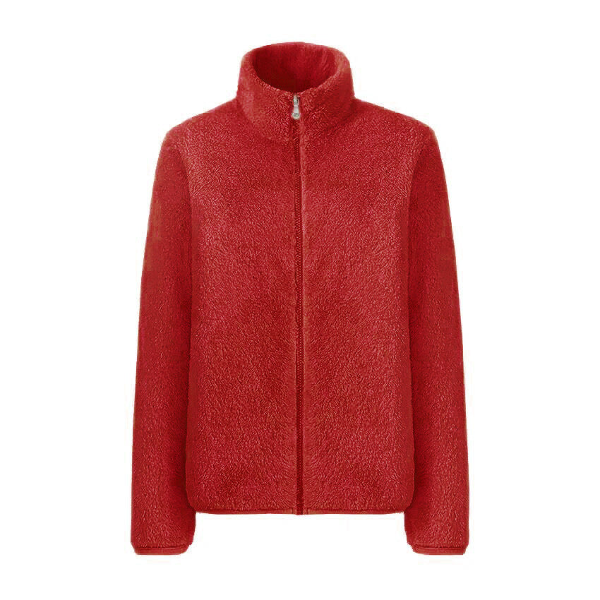 Autumn And Winter Coat Stand-up Collar Double Face Fleece Coral Cashmere Hoodie