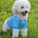 Thin breathable dog vest