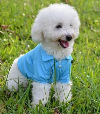 Thin breathable dog vest