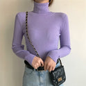 All-match Solid Color Slim Slimming Turtleneck High-neck Warm Long-