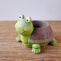 Little Turtle Plants Pot