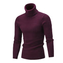 Men's Turtleneck Long Sleeve Sweater Casual Sweater Top