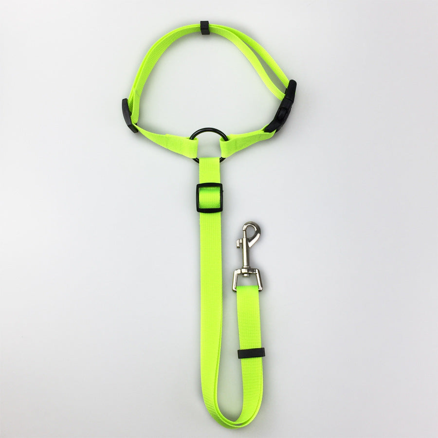 Pet safety leash