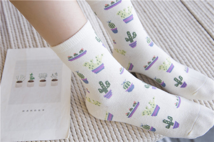 Cactus cotton tube stockings