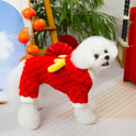 Pet Clothing Double-sided Velvet 24 Little Dragon Fluffy Jacket