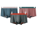 Ice Silk Modal Double-sided Seamless Boxers