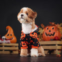 Wansheng Pet Clothes Dog Cat Pumpkin Sweater