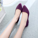 Women's pointed toe flat shoes