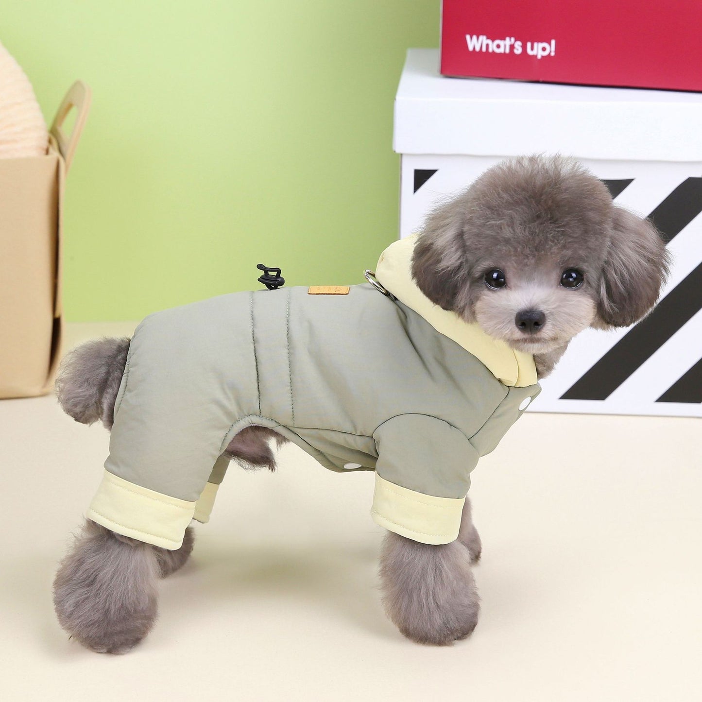 Pet Clothes Dog Autumn And Winter Four-leg Cotton-padded Clothes