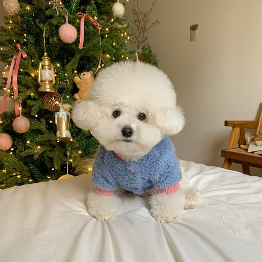 Fashion Autumn And Winter New Pet Coat