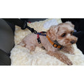 Dog seat belt