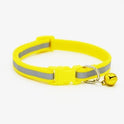 Fluorescent dog collar