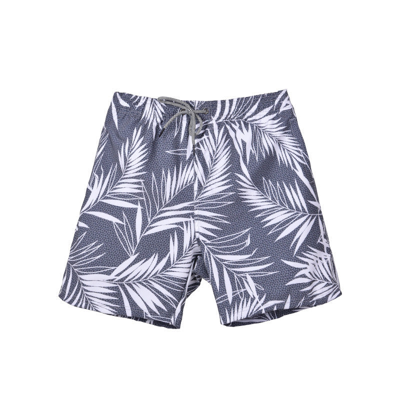 Summer Quick-drying Shorts Men's Beach Pants