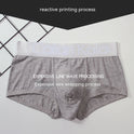 Men's Underwear Boxers Modal Breathable Boxer