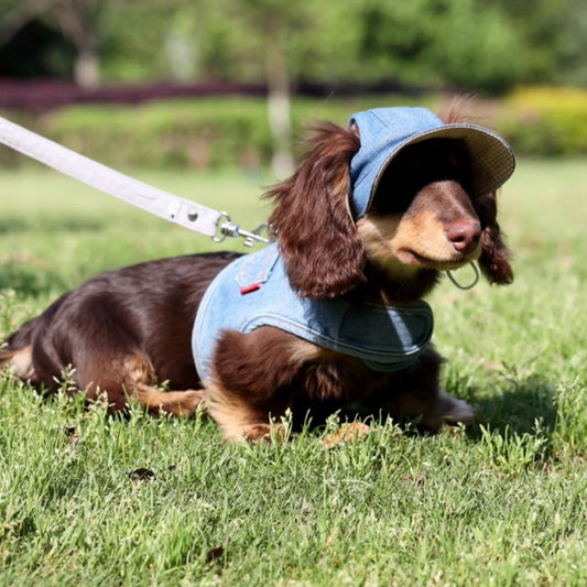 Pet All-match Cowboy Hat Sun Protection Sunshade